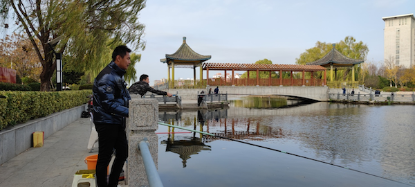 灌南：城乡污水治理绘就水清岸绿“高颜值”(图3)