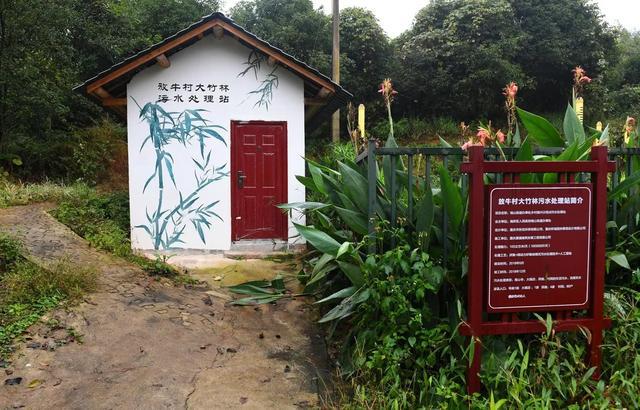 南岸区因地制宜开展农村生活污水治理(图2)