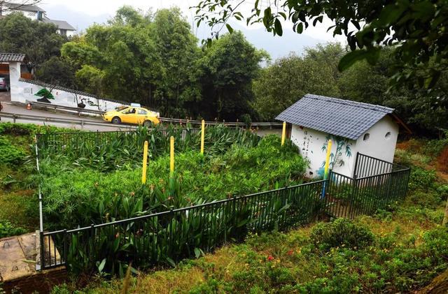 南岸区因地制宜开展农村生活污水治理(图1)