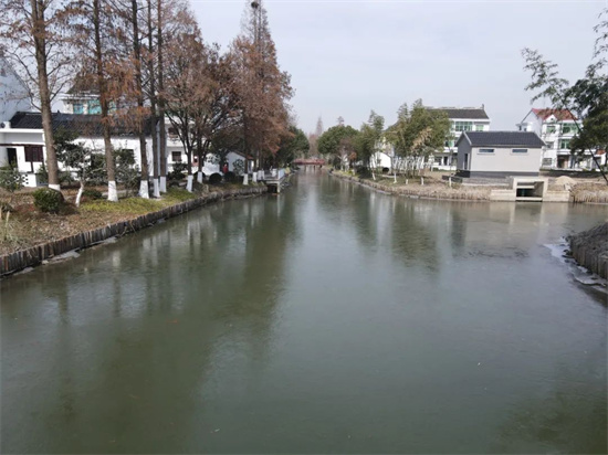 开展污水排查整治专项行动助力城乡风貌整治提升(图1)