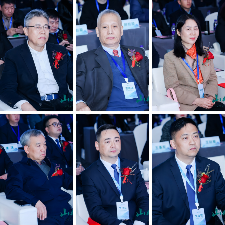 莫干山板材2024新品震撼发布——坚守健康环保初心科技赋能理想家居空间(图2)