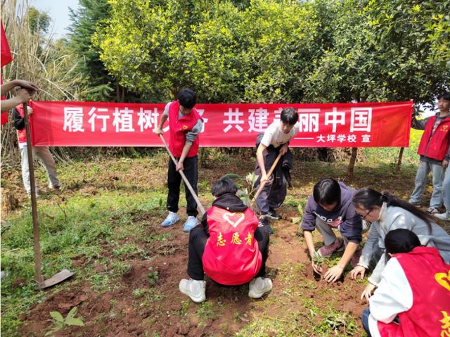 宜宾市南溪区大坪学校开展2024年春期义务植树活动(图3)