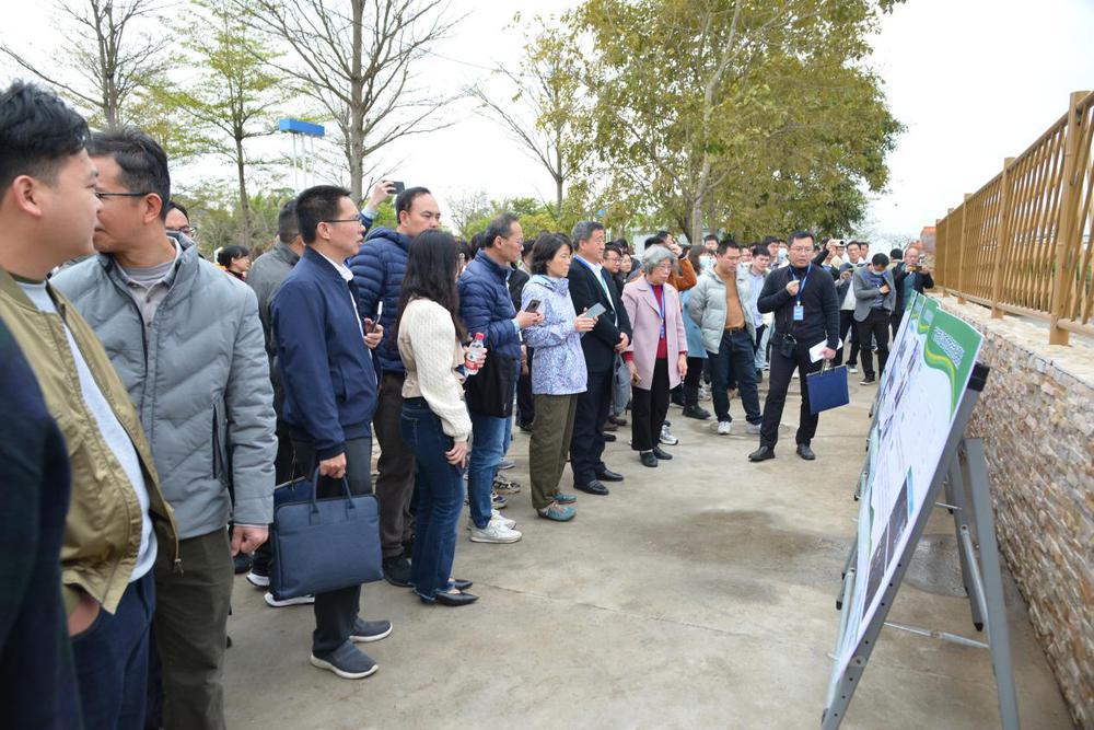 广州今年第1号总河长令为何关注农村生活污水治理？记者为您探解！(图3)