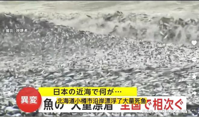 秋刀鱼致癌物超标40倍！日本核污水5月将覆盖江浙沪该怎么办？(图13)