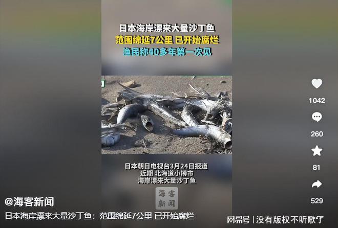 秋刀鱼致癌物超标40倍！日本核污水5月将覆盖江浙沪该怎么办？(图14)