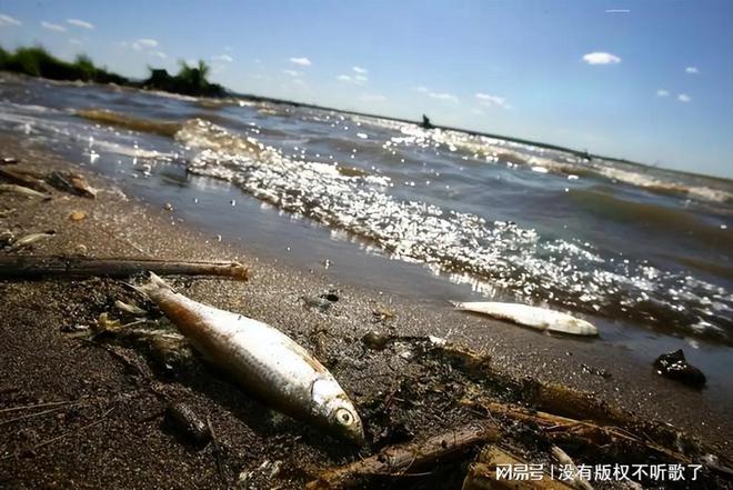 秋刀鱼致癌物超标40倍！日本核污水5月将覆盖江浙沪该怎么办？(图12)