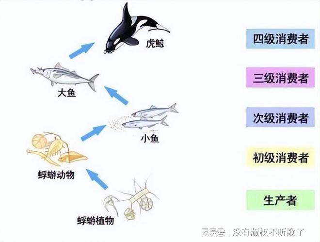 秋刀鱼致癌物超标40倍！日本核污水5月将覆盖江浙沪该怎么办？(图20)
