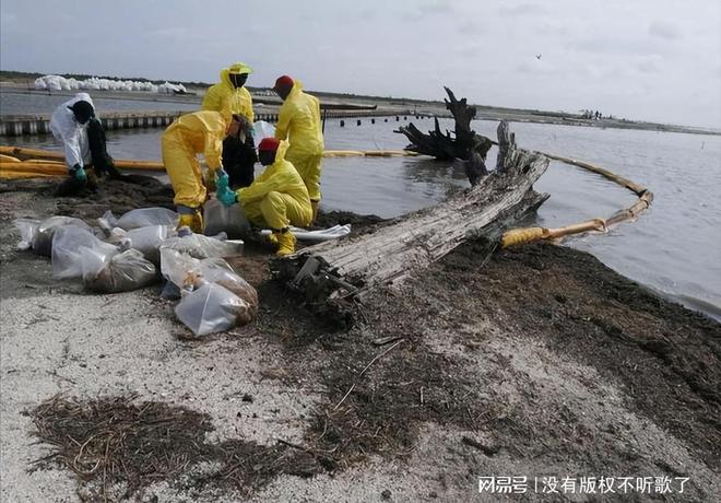 秋刀鱼致癌物超标40倍！日本核污水5月将覆盖江浙沪该怎么办？(图19)