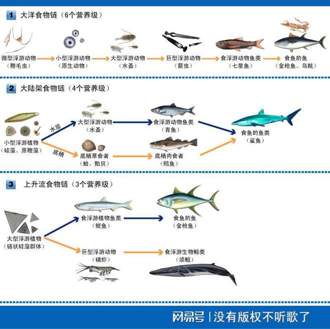 秋刀鱼致癌物超标40倍！日本核污水5月将覆盖江浙沪该怎么办？(图22)
