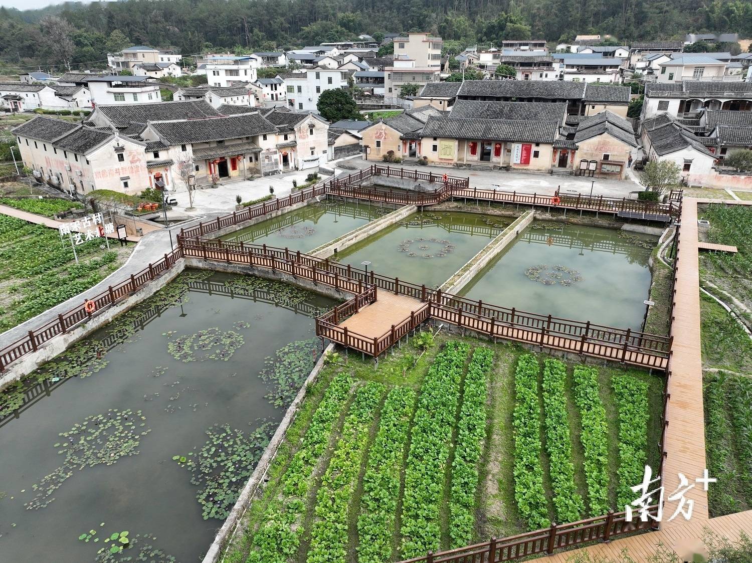 废水变“肥水”！探索农村生活污水资源化利用新路大埔有一套(图1)
