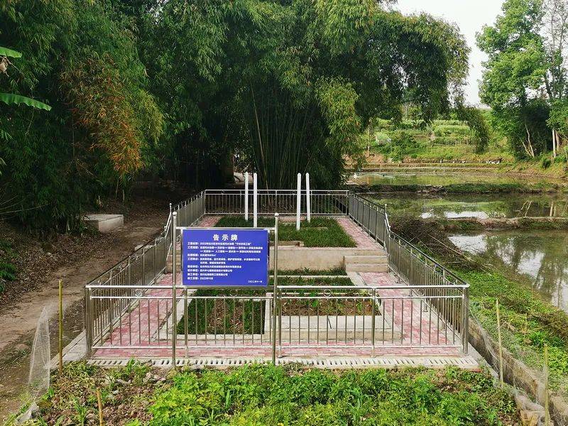 推进乡村生活污水治理达川政协在行动(图3)