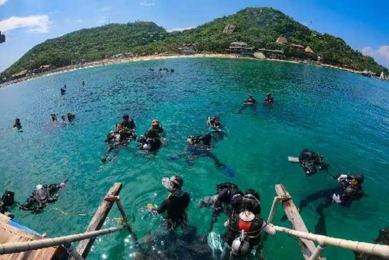2024年“嘿潜水吧！”分界洲岛潜水主题系列活动正式发布(图2)