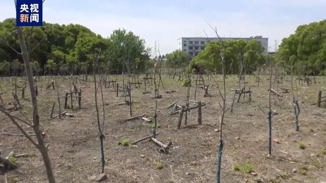 污水直排、剥皮毁林、非法采砂…中央环保督察集中通报！(图4)