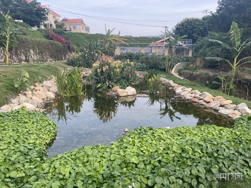 厦门市农村生活污水提升治理成效显著(图3)