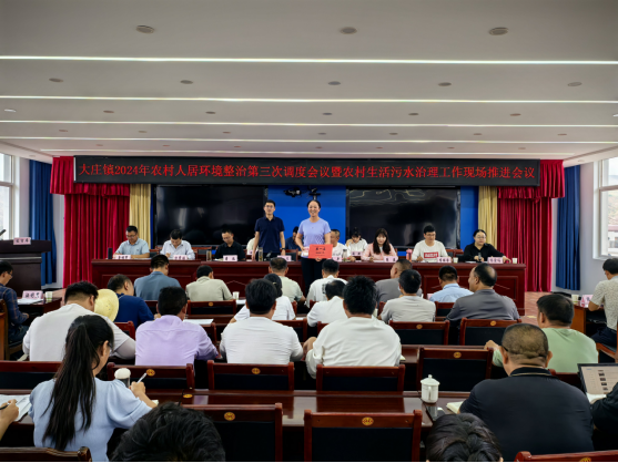 大庄镇召开2024年农村人居环境整治第三次调度会议暨农村生活污水治理工作第二次现场推进会议(图2)