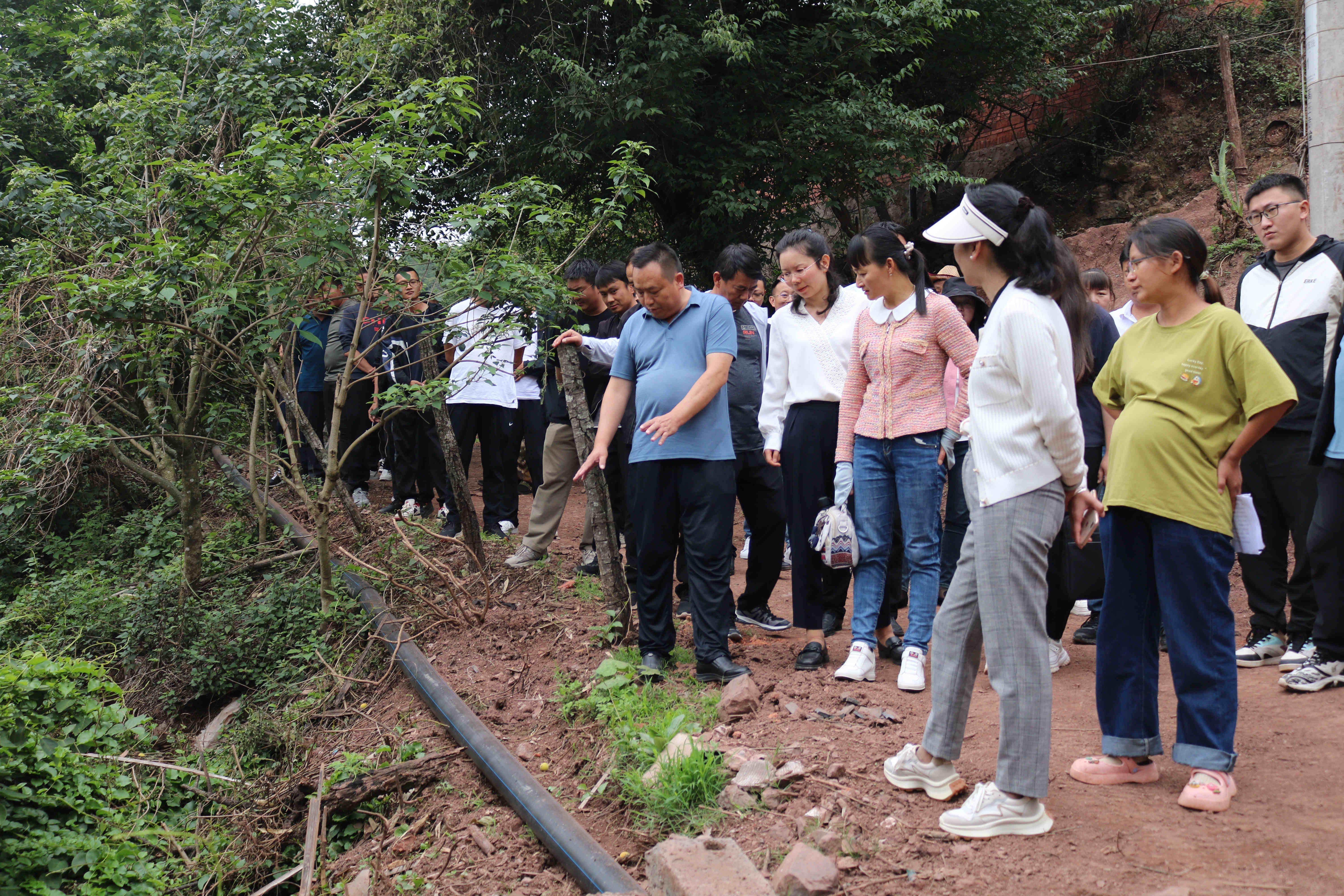 妥甸镇加快推进农村人居环境整治和农村生活污水治理(图3)