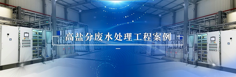 高含盐废水处理-依斯倍(图4)