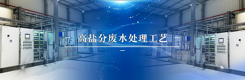 高含盐废水处理-依斯倍(图3)