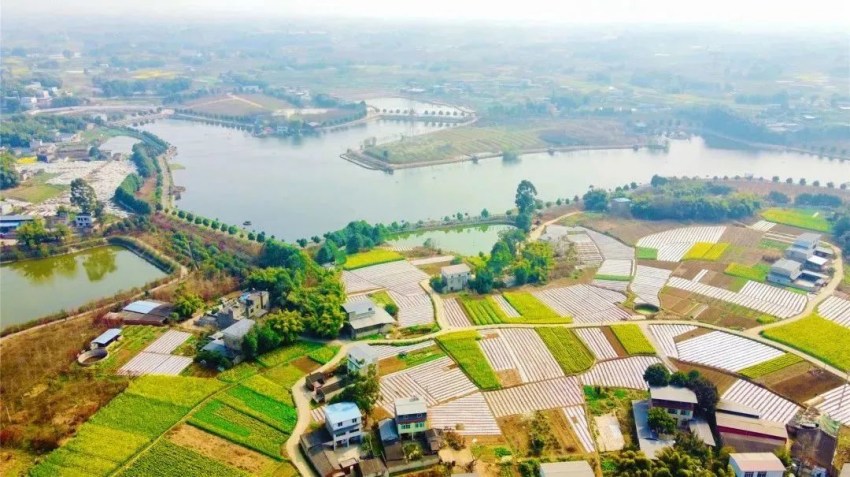 成都青白江区：以“河长制”为笔绘就美丽河湖新画卷(图2)