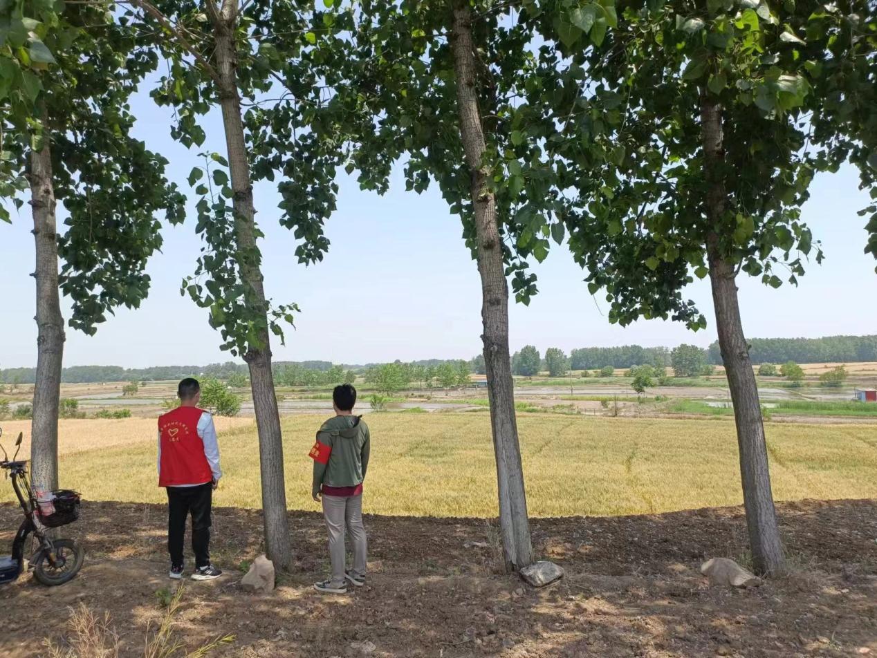 杨庙镇大元村：党建引领出实招秸秆禁烧护生态(图2)