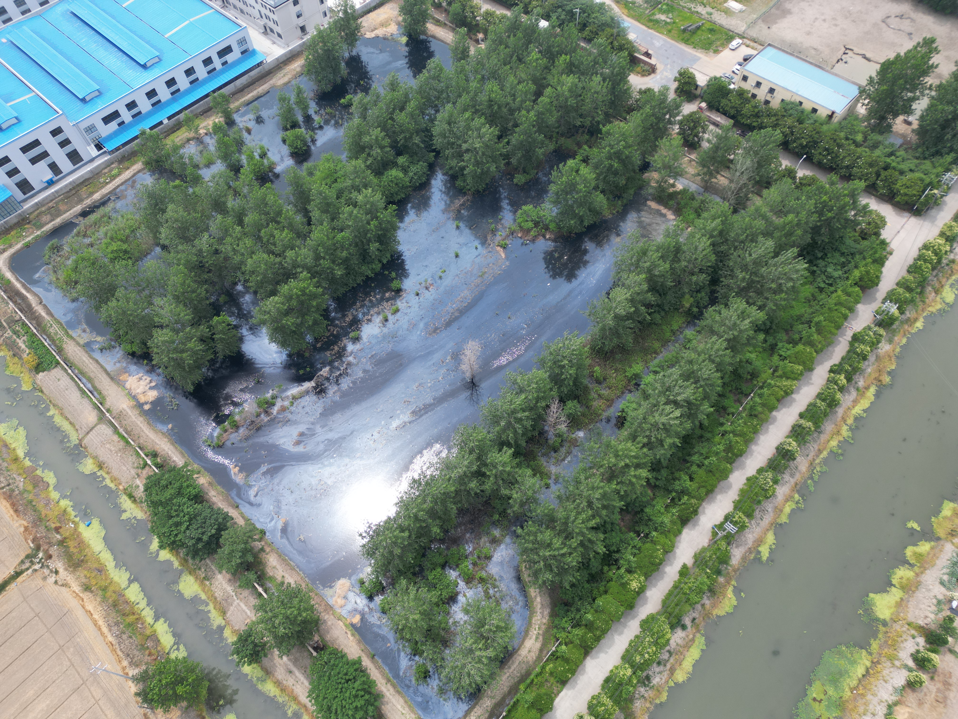 江苏兴化30多亩土地疑被排污水当地：属生活污水正在处理(图1)