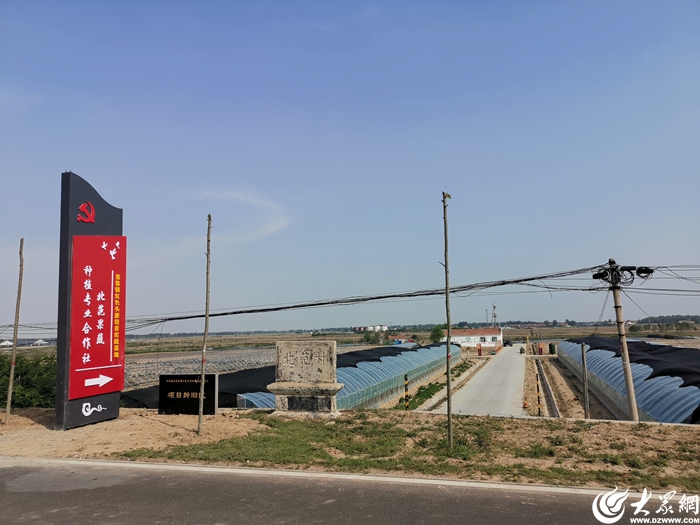 沿着黄河遇见海中华环保世纪行2024年宣传活动走进东营(图9)
