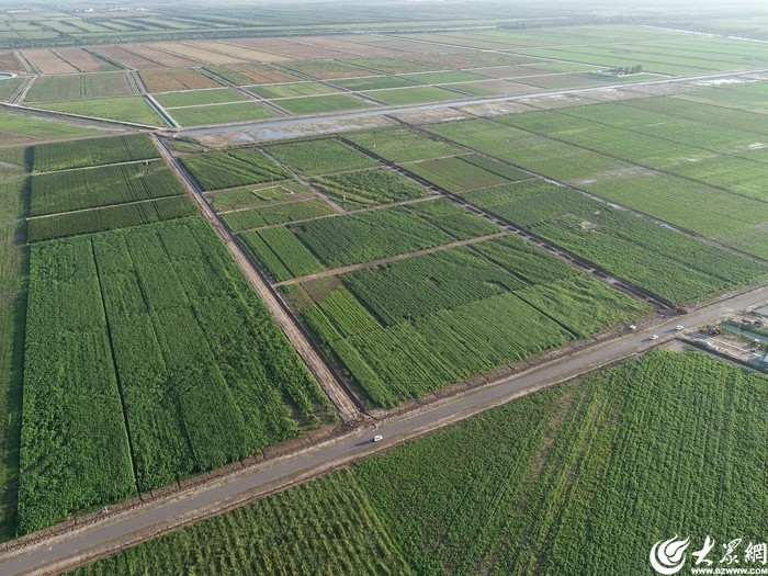 沿着黄河遇见海中华环保世纪行2024年宣传活动走进东营(图12)