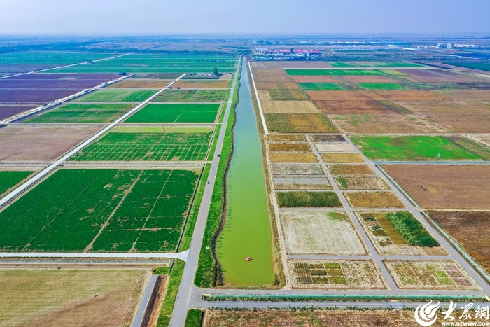 沿着黄河遇见海中华环保世纪行2024年宣传活动走进东营(图11)