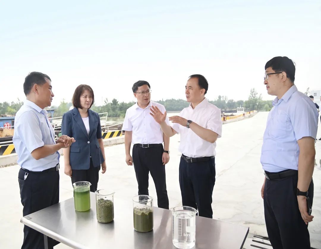 宋乐伟专题调研骆马湖安全度夏和综合治理工作(图1)