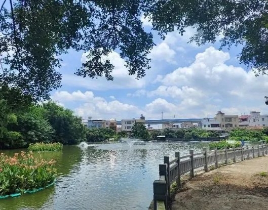 【治污攻坚典型案例】生态更宜居！惠州仲恺秀出农村生活污水治理“答卷”(图3)