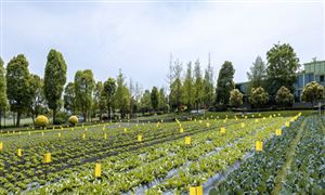 污水治理行业发展如何？污水治理行业发展现状深度调研分析2024(图6)