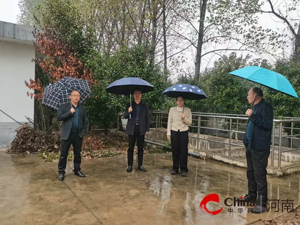 遂平县副县长督导调研农业农村污染治理攻坚工作(图2)