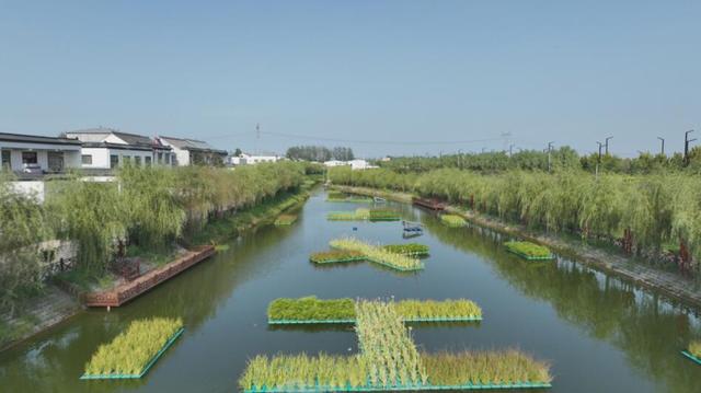 【农村人居环境整治进行时】淮阳区：农村坑塘治理惠民生(图3)