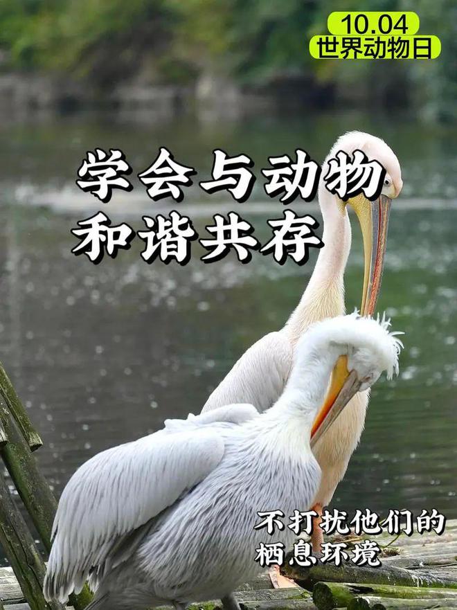 今日节日风俗汇总：2024年10月4日农历九月初二(图2)