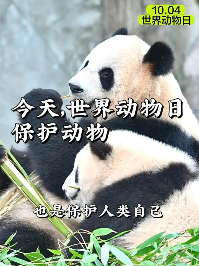 今日节日风俗汇总：2024年10月4日农历九月初二(图1)