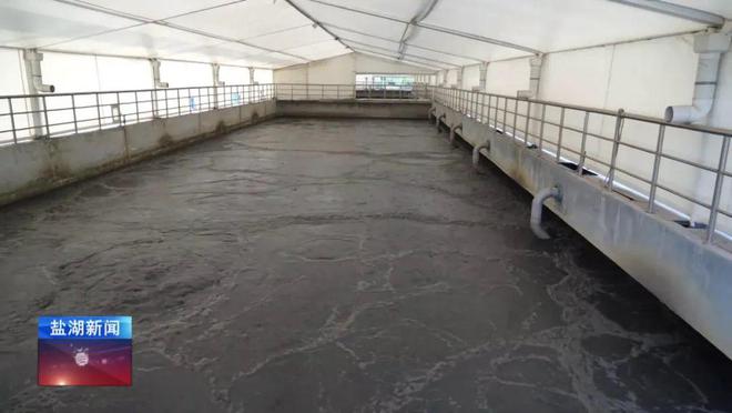 奋进强国路阔步新征程丨日处理污水13万立方米盐湖高新区污水处理厂高效运行(图3)