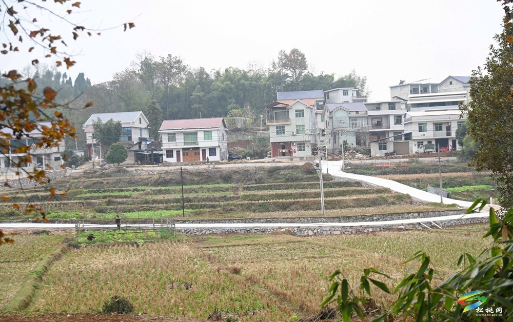 松桃县迓驾镇青山村：学习运用“千万工程”经验推进人居环境提质改造(图1)