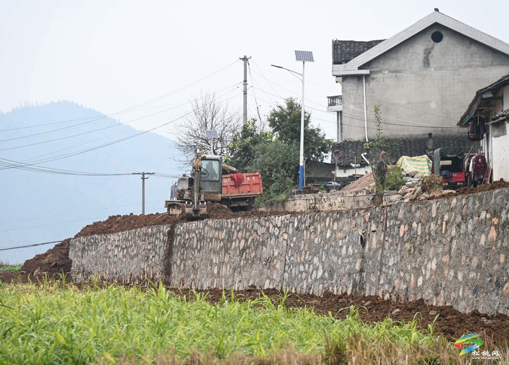 松桃县迓驾镇青山村：学习运用“千万工程”经验推进人居环境提质改造(图2)
