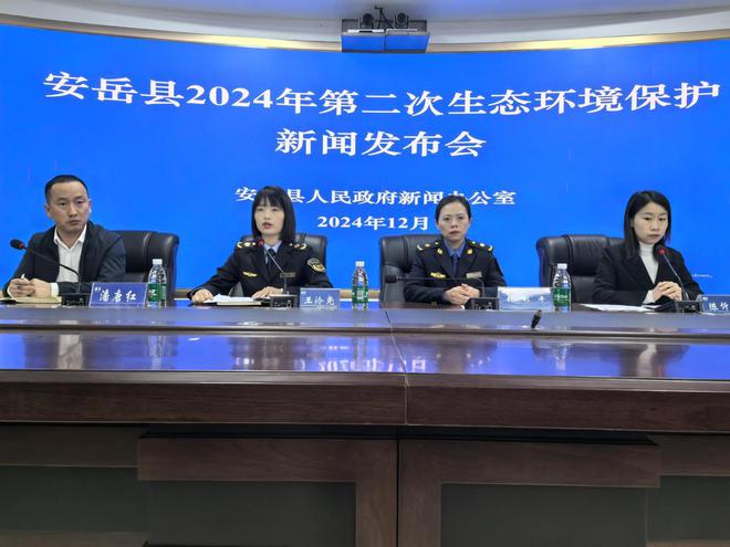 达标率100%！资阳安岳2024年生态环境质量持续向好(图1)