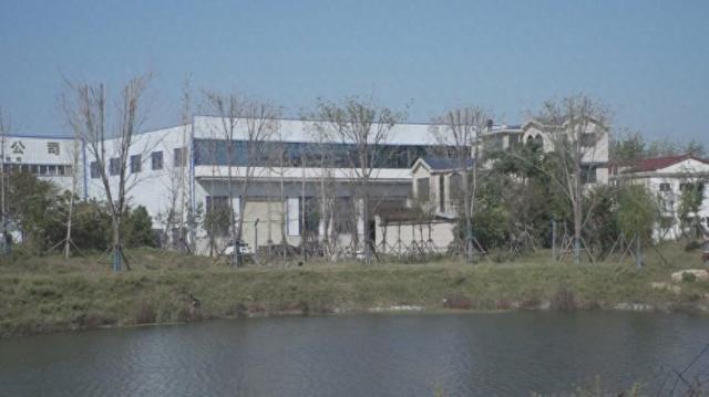 沈丘：河道治理惠民生水清河畅“颜值靓”(图1)