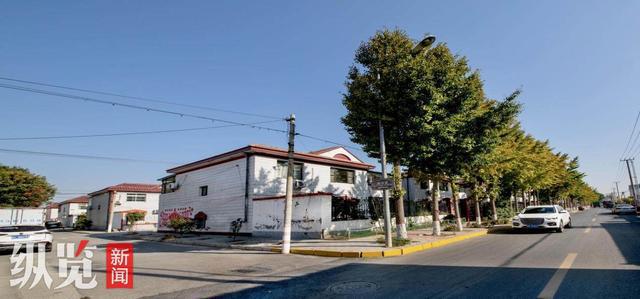 成果展示丨和美乡村“三类村”典型案例—美丽宜居村(图4)