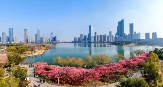 连续5年跨越百亿！2024年合肥蜀山区地区生产总值突破1500亿元！(图5)
