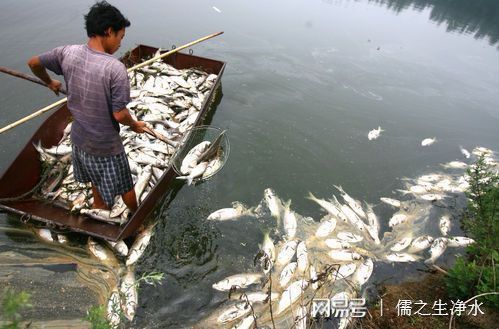 中国七大著名水污染事件(图1)