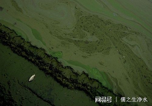 中国七大著名水污染事件(图6)
