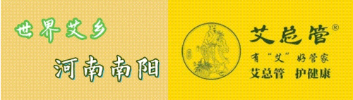 卧龙区开展农村人居环境整治、南水北调污水治理项目建设督导调研(图4)