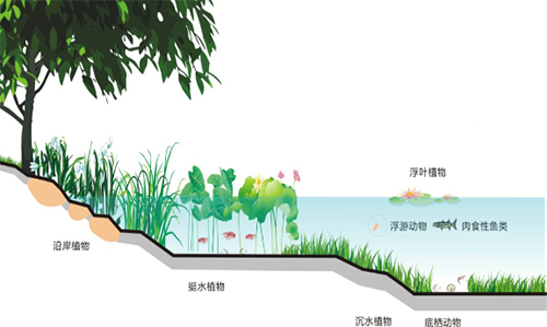 今年我国废水处理行业发展现状分析发展趋向剖析(图1)