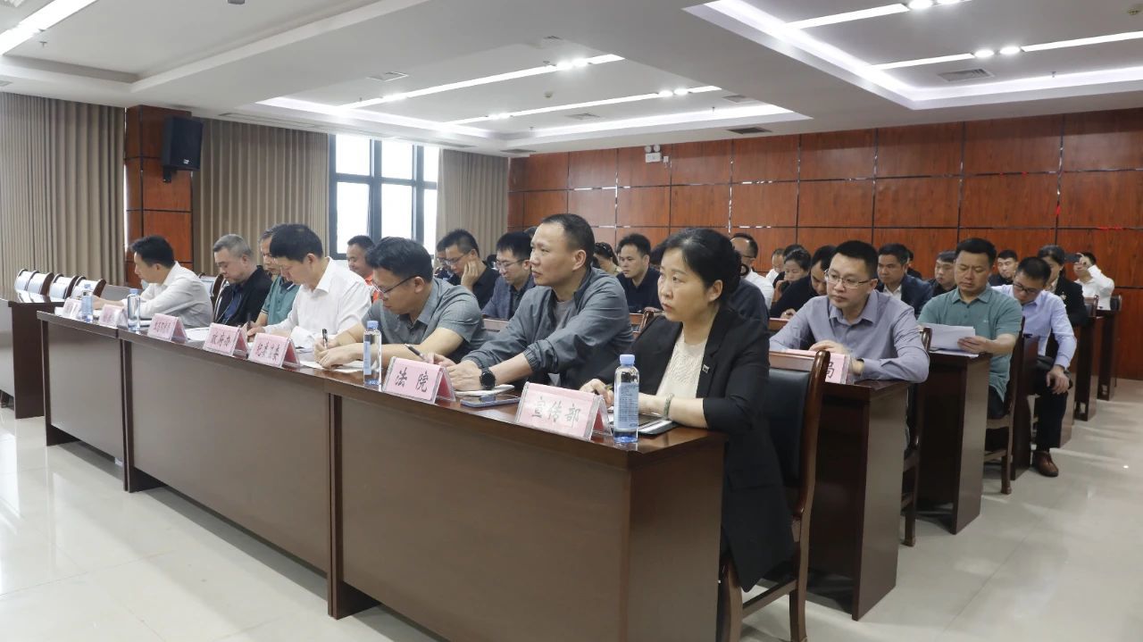 融安县2025年生态环境保护工作暨生态环境保护督察反馈问题整改推进会(图5)