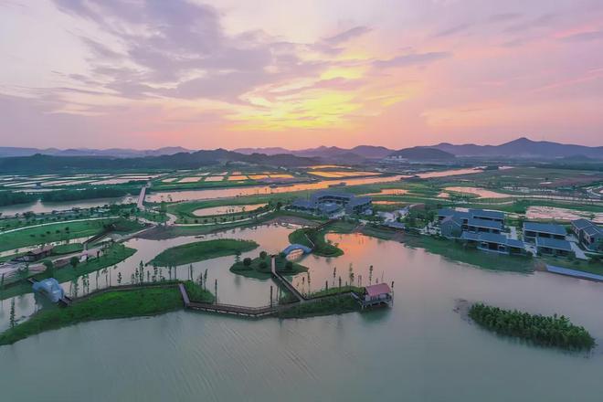 志愿者招募2025加入深圳小组用你的专长守护大自然(图4)