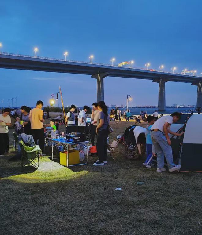 志愿者招募2025加入深圳小组用你的专长守护大自然(图5)