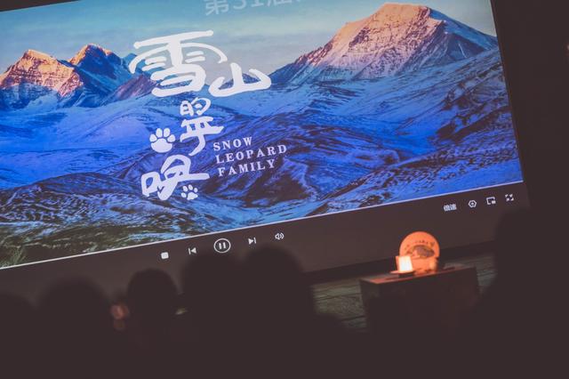 可持续光影：一周城市生活(图6)